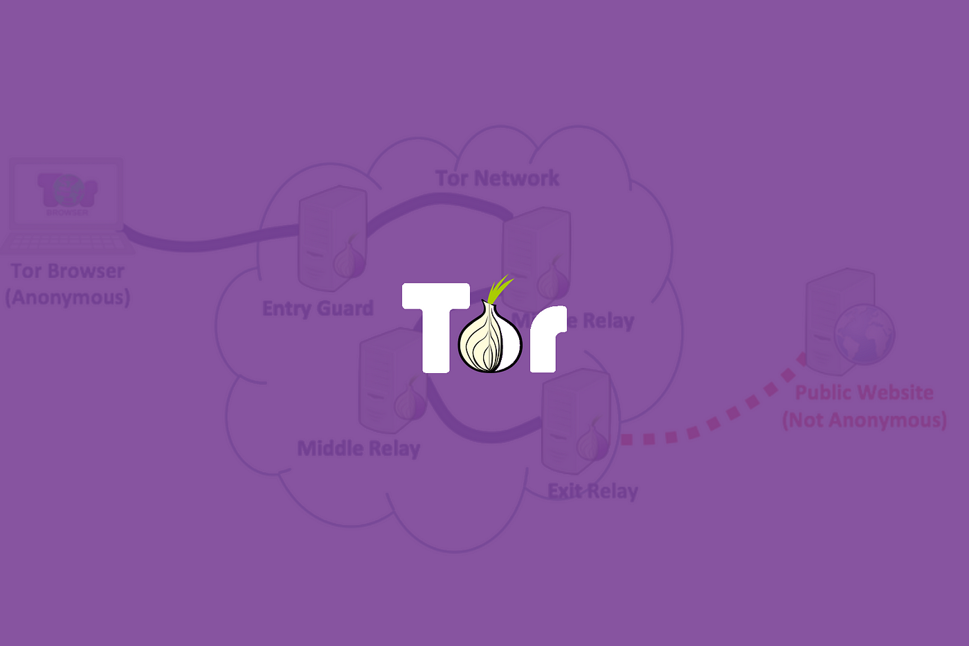 Introduction tor browser