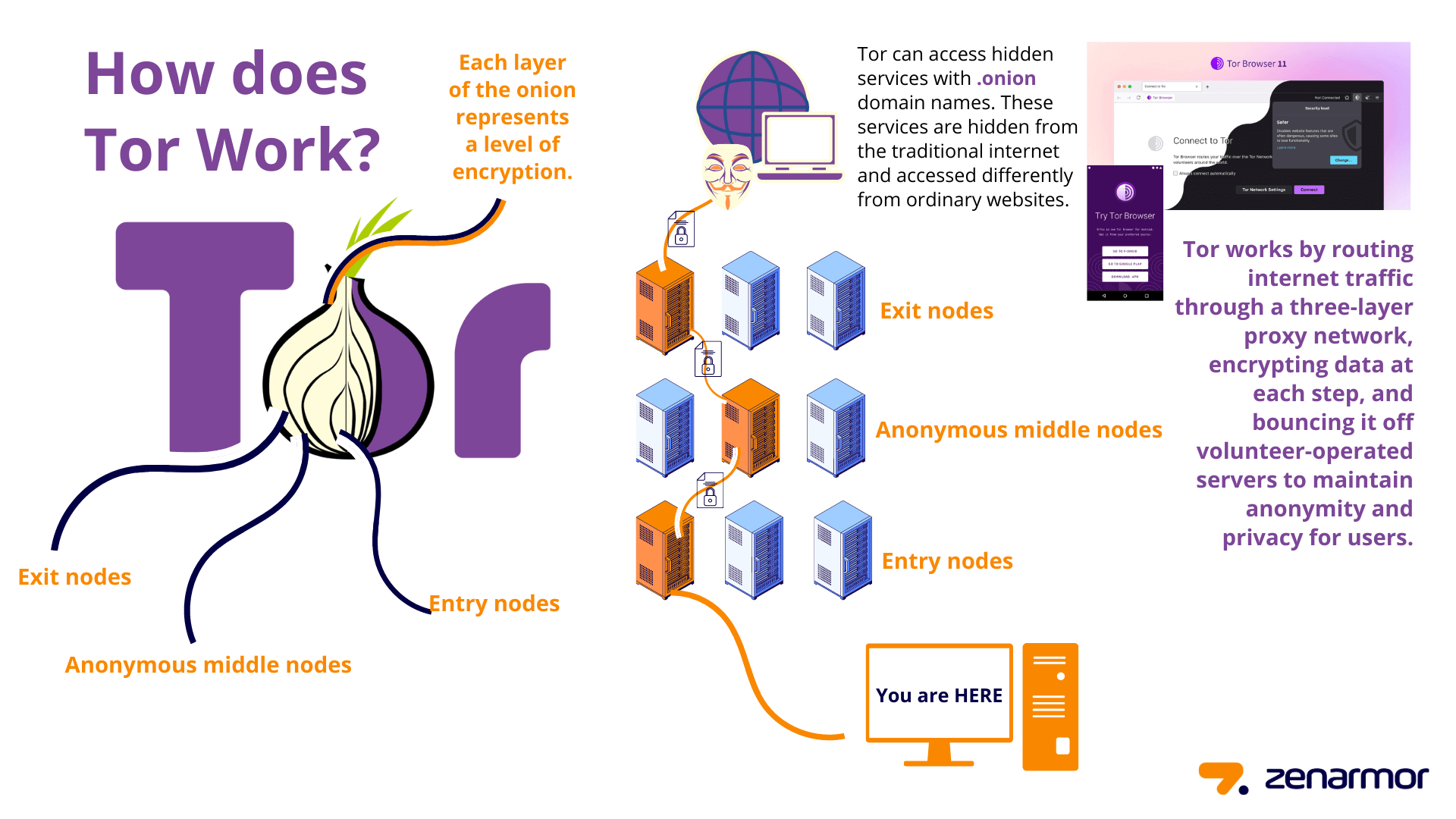 What is tor browser? browser