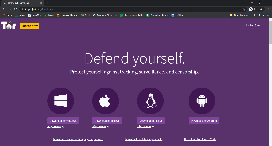 How to download and install tor browser